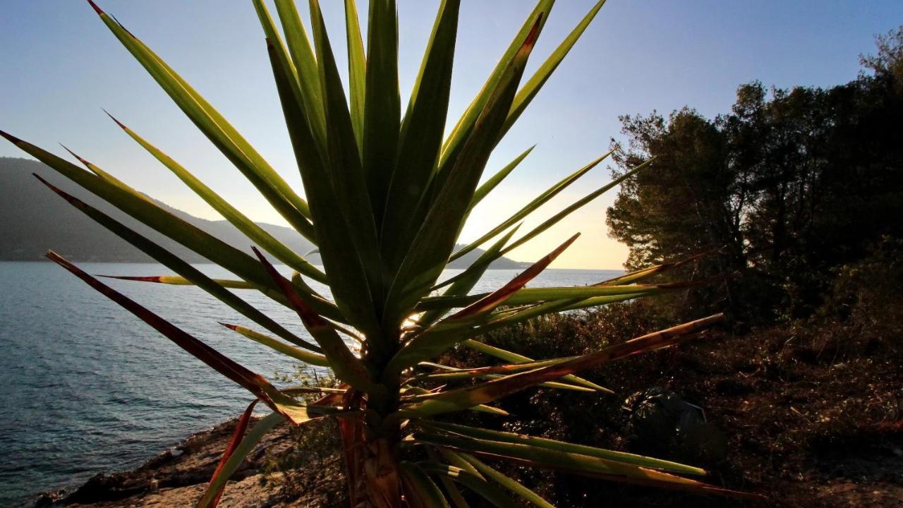 Holiday Home Bili Zal Vela Luka Exterior photo
