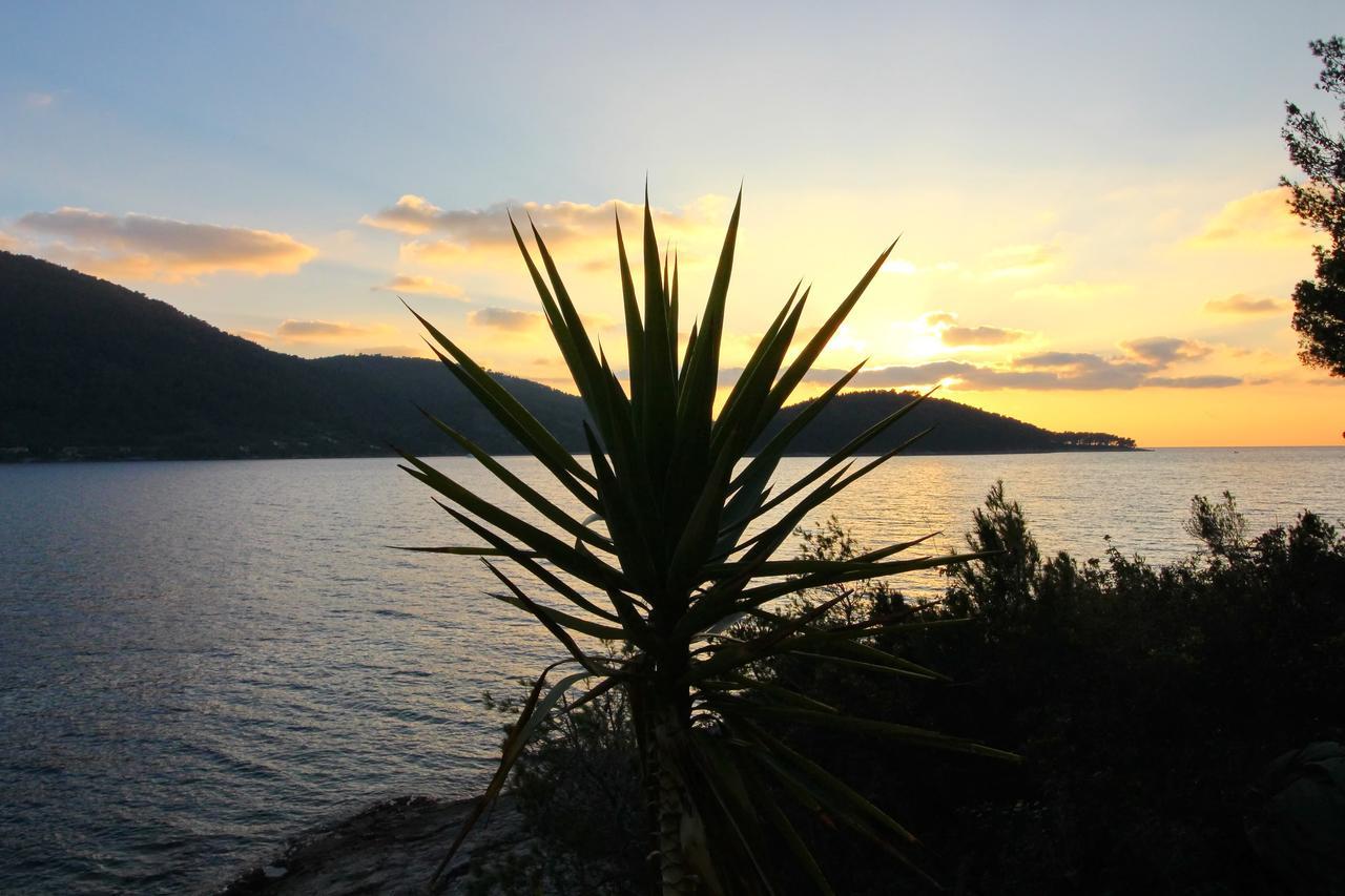 Holiday Home Bili Zal Vela Luka Exterior photo